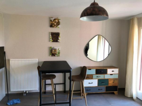 Amazing Studio In Lausanne Close To Epfl Unil